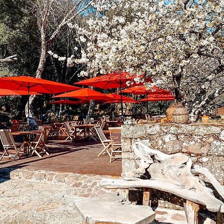 Auberge De La Foret Bonifatu Calenzana Ngoại thất bức ảnh