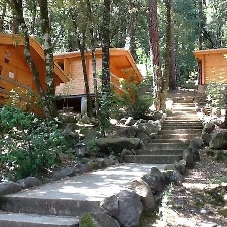Auberge De La Foret Bonifatu Calenzana Ngoại thất bức ảnh