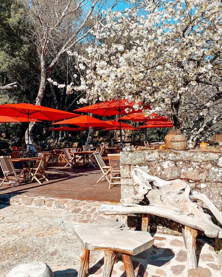 Auberge De La Foret Bonifatu Calenzana Ngoại thất bức ảnh