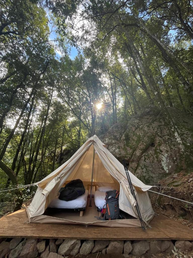 Auberge De La Foret Bonifatu Calenzana Ngoại thất bức ảnh