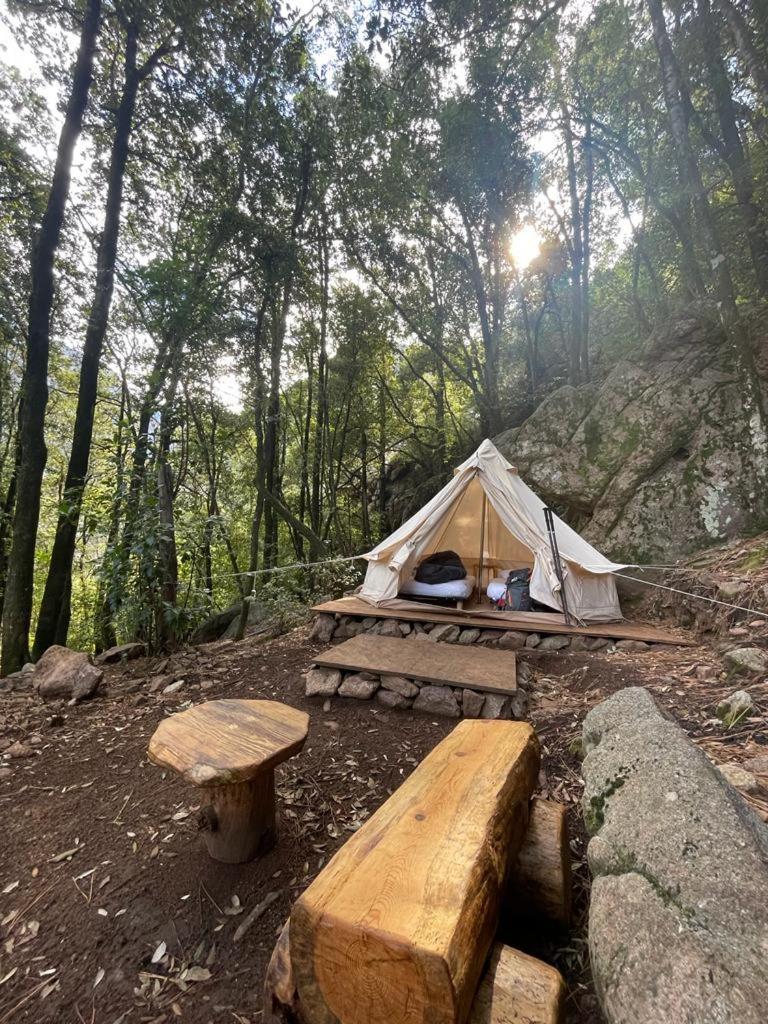 Auberge De La Foret Bonifatu Calenzana Ngoại thất bức ảnh